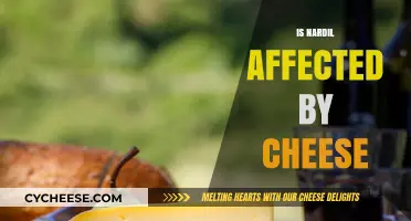 Does Cheese Impact Nardil? Exploring the Food-Drug Interaction