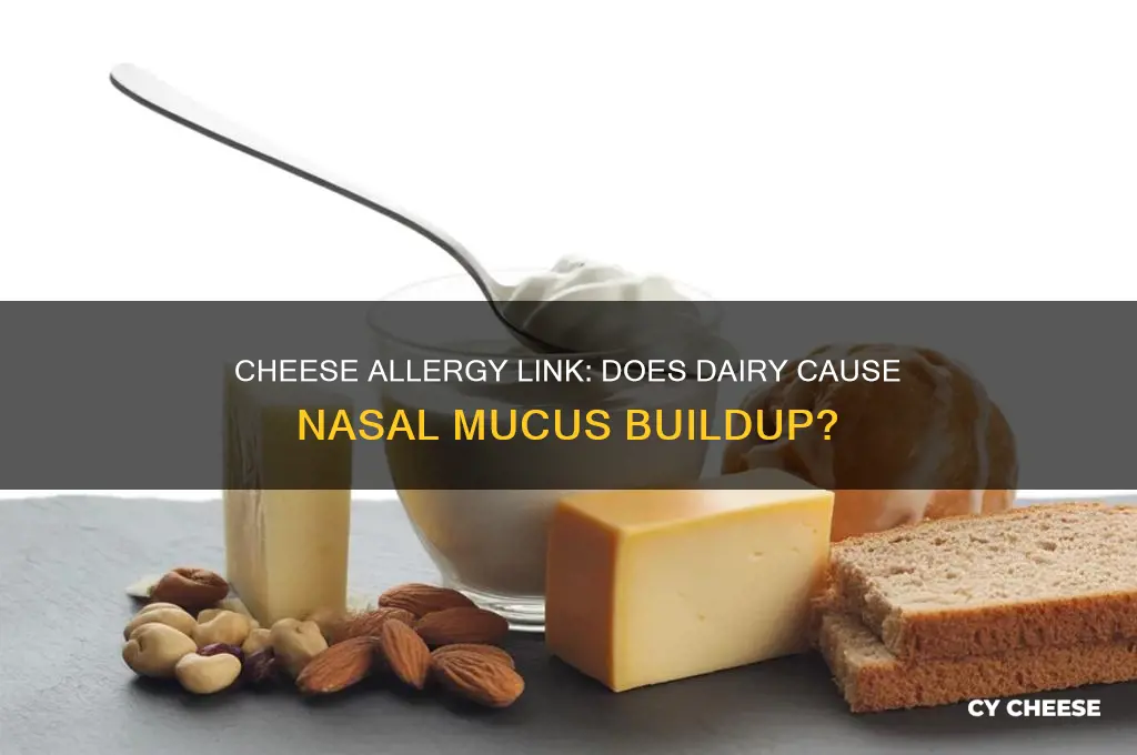 is nasal mucus caused by allergic reaction to cheese