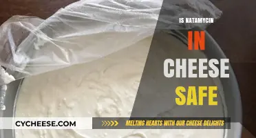 Natamycin in Cheese: Safety Concerns and Facts You Need to Know