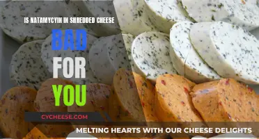 Natamycin in Shredded Cheese: Is It Safe?