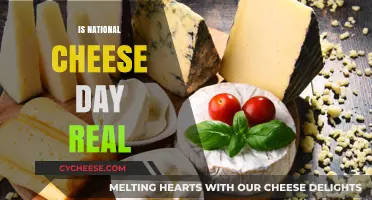 Is National Cheese Day Real? Uncovering the Truth Behind the Cheesy Holiday
