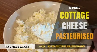 Is Natural Cottage Cheese Pasteurized? Understanding the Process and Safety