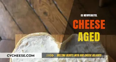Neufchâtel Cheese Aging Process: Unveiling the Secrets of Its Maturation