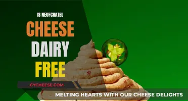 Is Neufchatel Cheese Dairy-Free?