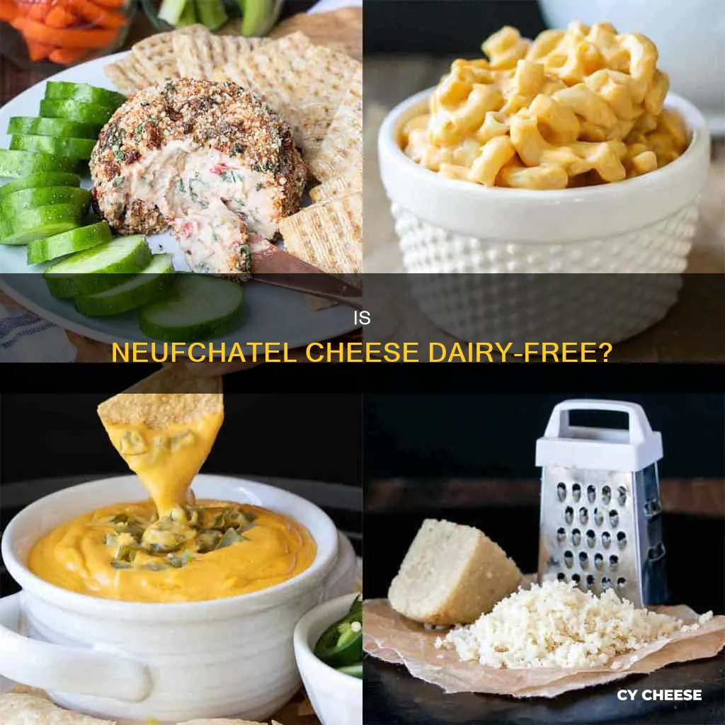 is neufchatel cheese dairy free