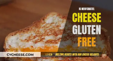 Gluten-Free Neufchatel Cheese: Is It Safe to Eat?