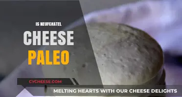 Is Neufchatel Cheese Paleo? A Comprehensive Guide to Dietary Compatibility