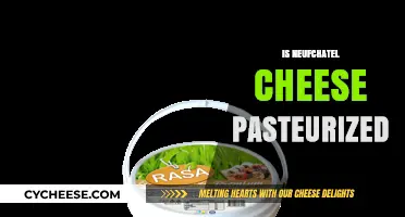 Is Neufchatel Cheese Pasteurized? Uncovering the Truth About This French Cheese
