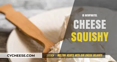 Is Neufchâtel Cheese Squishy? Texture Explained and Compared to Cream Cheese
