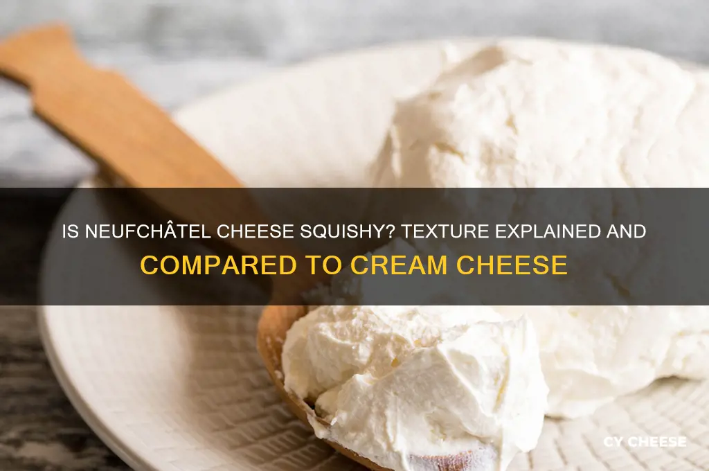 is neufhatel cheese squishy