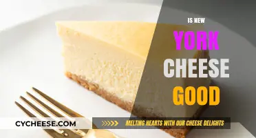 Is New York Cheese Worth the Hype? A Tasty Review