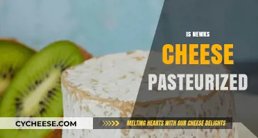 Is Newk's Cheese Pasteurized? A Complete Guide to Safety and Quality