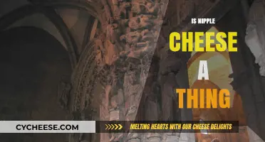 Is Nipple Cheese Real? Uncovering the Truth Behind the Myth