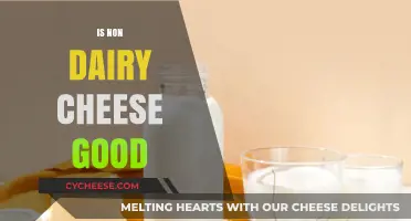 Is Non-Dairy Cheese Good? Exploring Health, Taste, and Sustainability