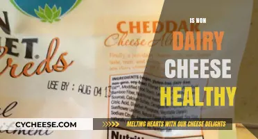 Non-Dairy Cheese: Healthy or Unhealthy?