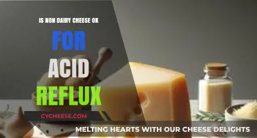 Non-Dairy Cheese and Acid Reflux: A Safe Alternative?