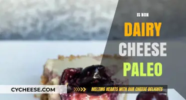 Is Non-Dairy Cheese Paleo? Exploring Dietary Compatibility and Alternatives