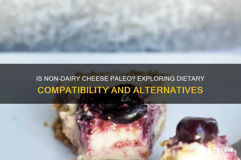 is non dairy cheese paleo