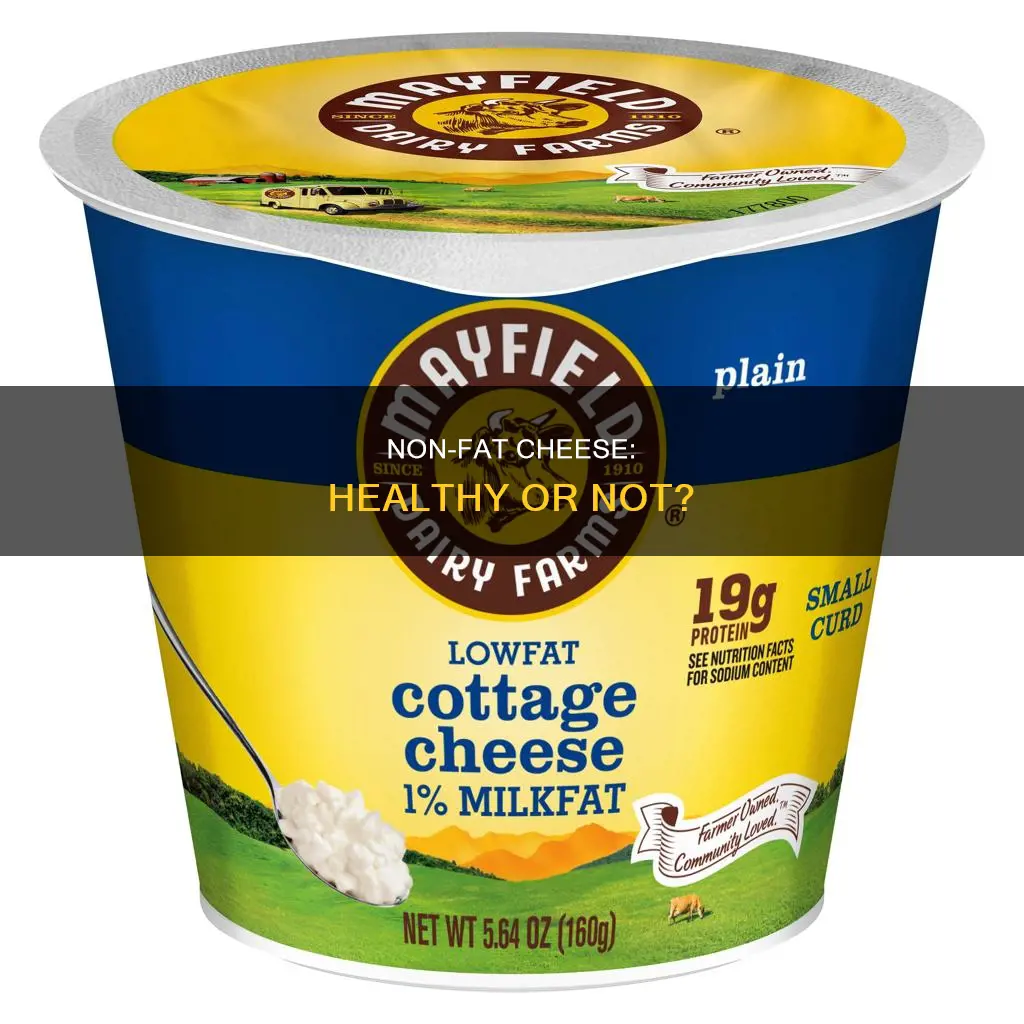 is non fat cheese healthy