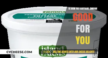 Non-Fat Cottage Cheese: Healthy Choice or Dietary Myth?