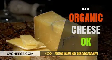 Is Non-Organic Cheese Healthy? Uncovering the Truth Behind Your Dairy Choice