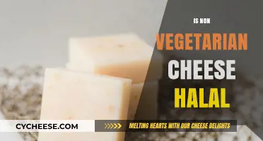 Is Non-Vegetarian Cheese Halal? Exploring Ingredients and Islamic Dietary Laws