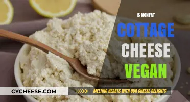 Is Nonfat Cottage Cheese Vegan? Exploring Dairy-Free Diet Options