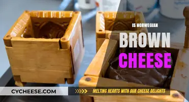 Exploring the Unique Flavor and Origin of Norwegian Brown Cheese