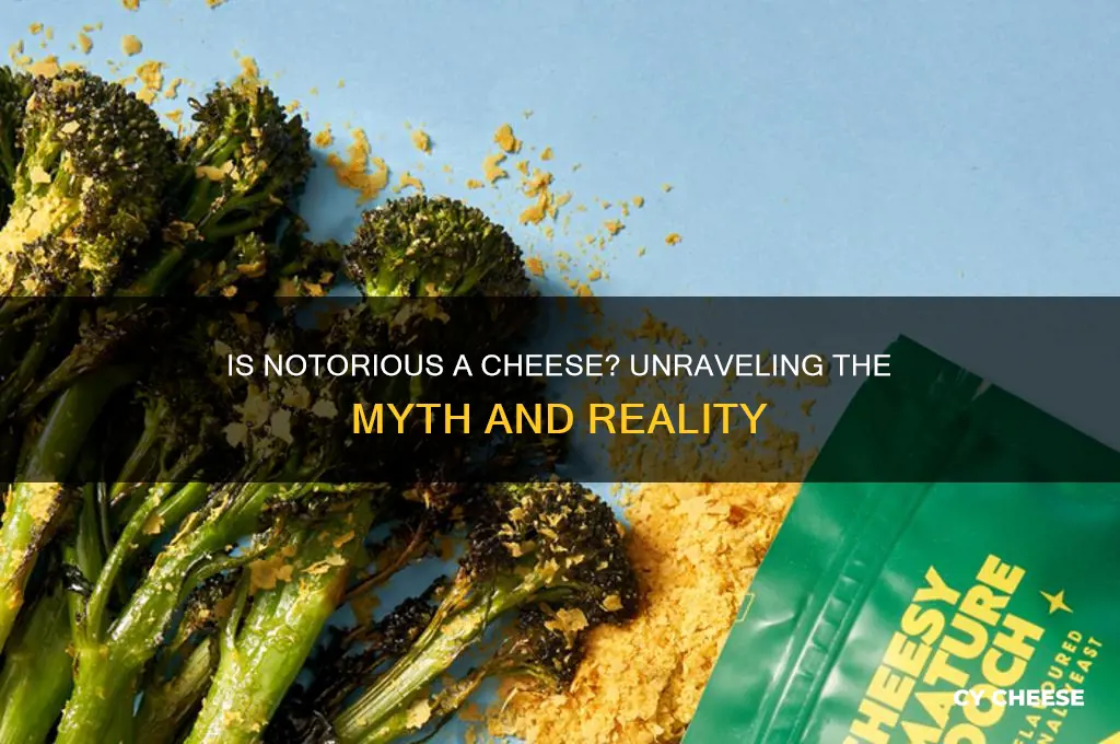 is notorious a cheese