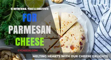 Nutritional Yeast: A Cheesy Parmesan Substitute?