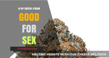 NY Cheese Strain and Sex: Enhancing Intimacy or Just Hype?