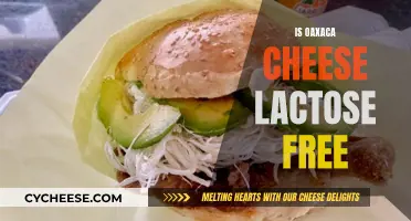 Oaxaca Cheese: Lactose-Free Superfood?