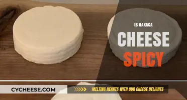 Is Oaxaca Cheese Spicy? Unraveling the Flavor Profile of This Mexican Delight