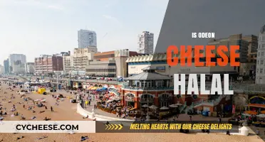 Is Odeon Cheese Halal? Exploring Ingredients and Certification Details