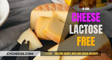 Oka Cheese: Lactose-Free Delicacy?