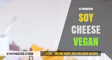 Is Okanagan Soy Cheese Vegan? A Detailed Ingredient Analysis