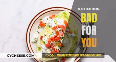 Blue Cheese: Healthy or Harmful?