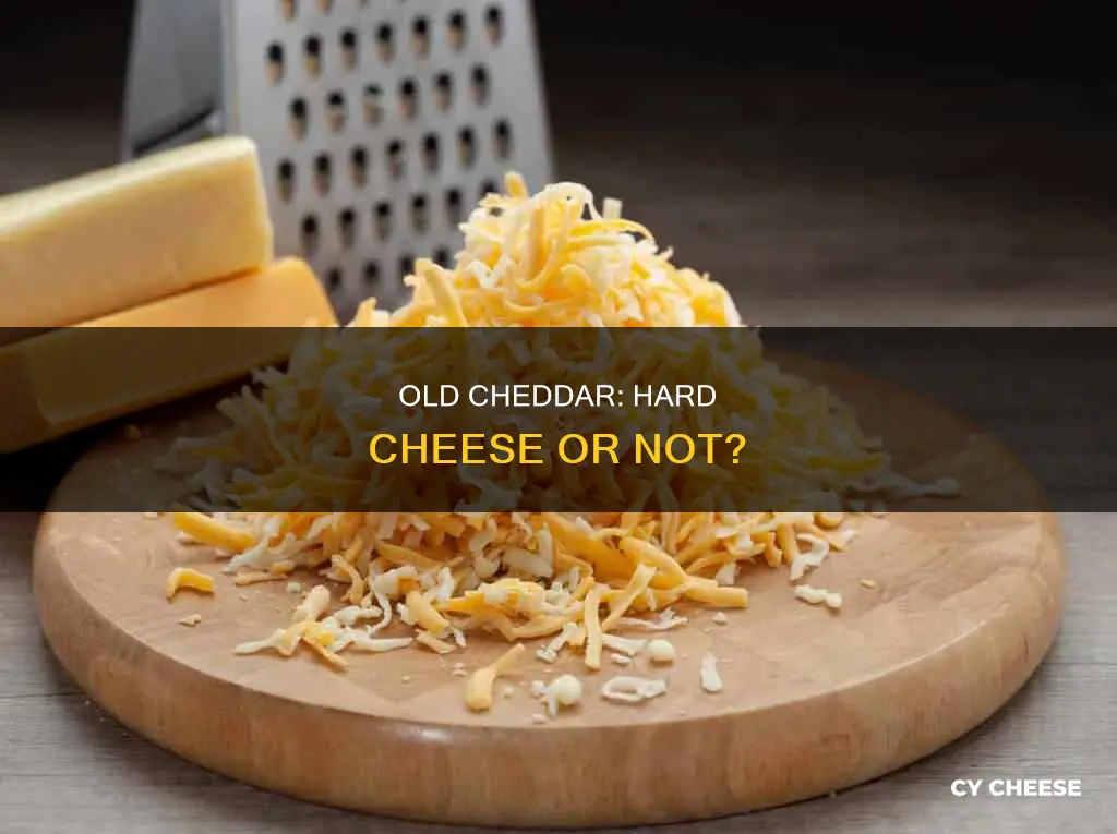 is old cheddar a hard cheese
