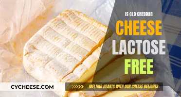 Old Cheddar Cheese: Lactose-Free or Not? Unraveling the Mystery