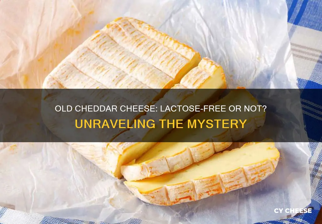 is old cheddar cheese lactose free