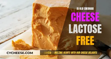 Old Cheddar Cheese and Lactose: What's the Deal?
