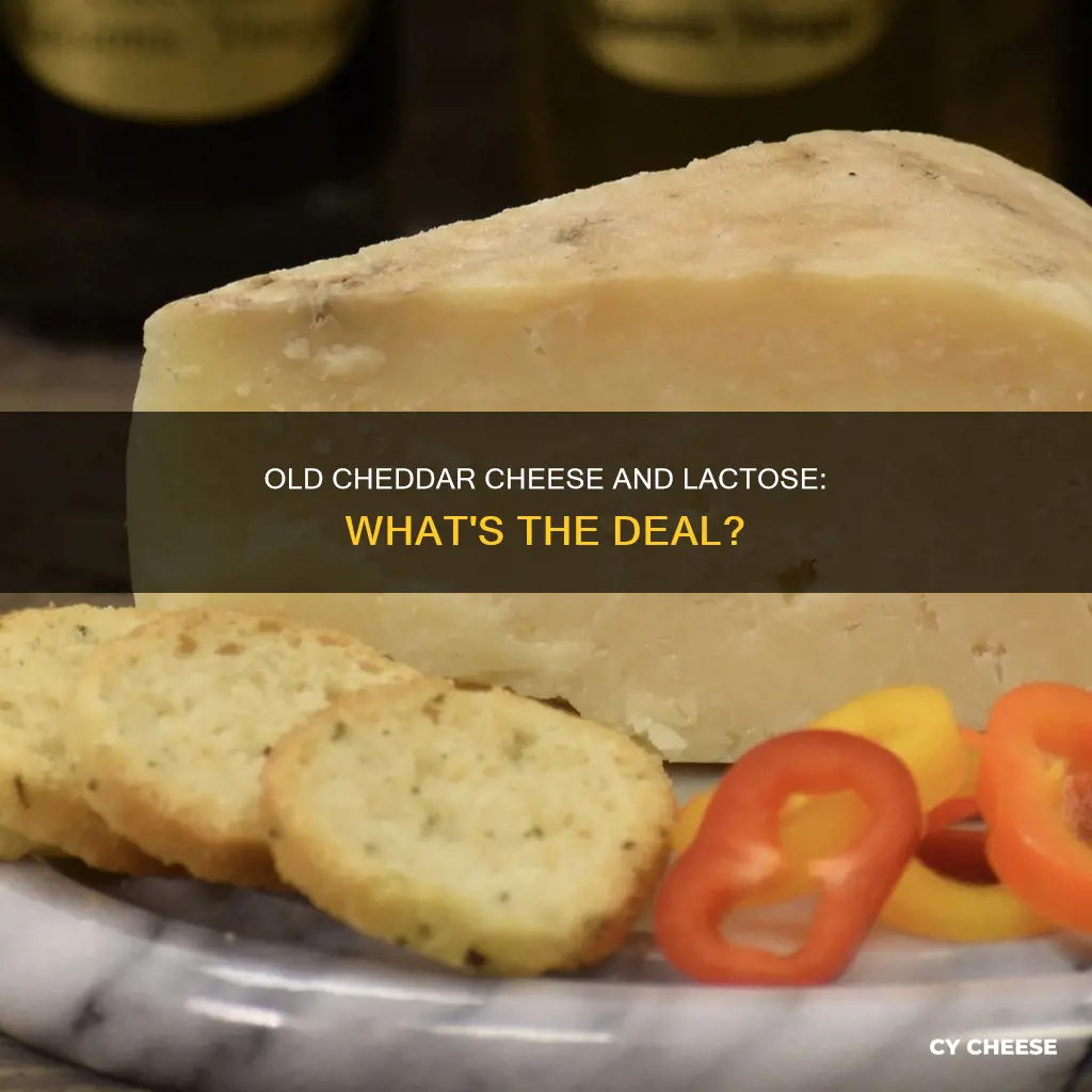 is old cheddar cheese lactose free
