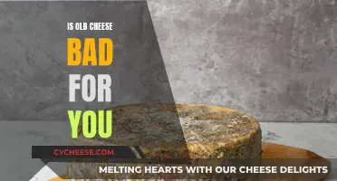 Cheese Age: Healthy or Harmful?