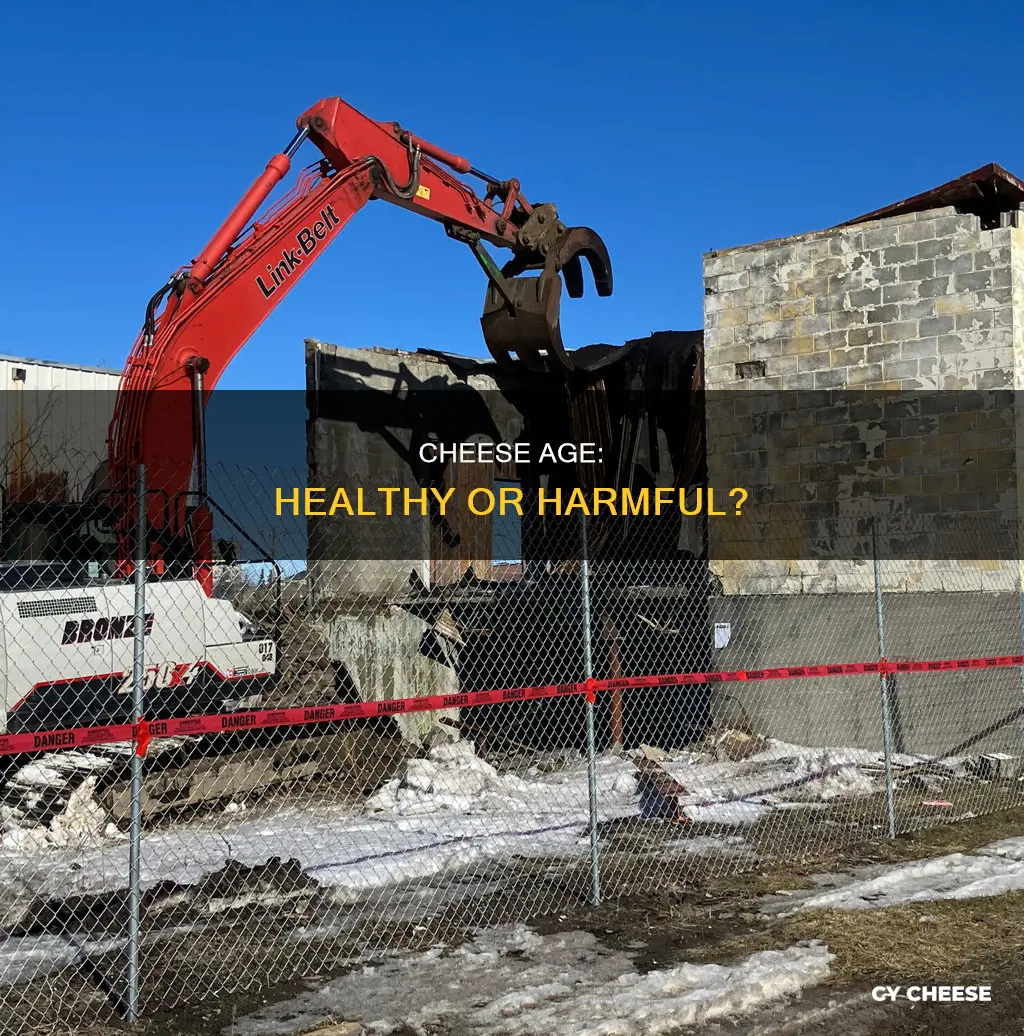 is old cheese bad for you