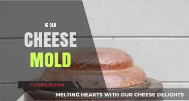 Is Old Cheese Moldy? Understanding Aging, Mold, and Food Safety