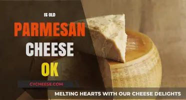 Old Parmesan Cheese: Safe to Eat?