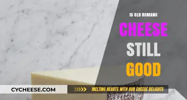 Is Old Romano Cheese Still Good? A Tasty Investigation