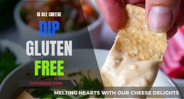 Ole Cheese Dip: Gluten-Free Comfort Food