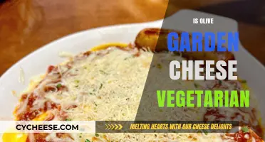 Is Olive Garden's Cheese Vegetarian? A Detailed Look