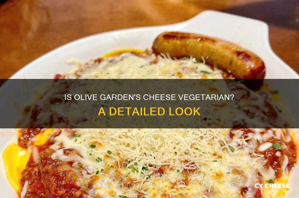 is olive garden cheese vegetarian